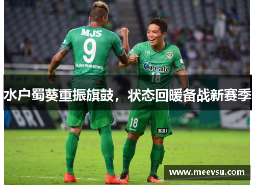 水户蜀葵重振旗鼓，状态回暖备战新赛季